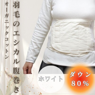 羽毛のエシカル腹巻き サイドリブベリーウォーマー　ホワイト　オーガニックコットン