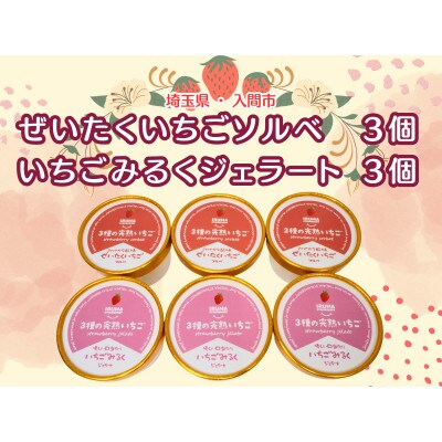 入間市産3種の完熟いちごの「プレミアムいちごアイス」(いちごソルベ3個・いちごみるくジェラート3個)