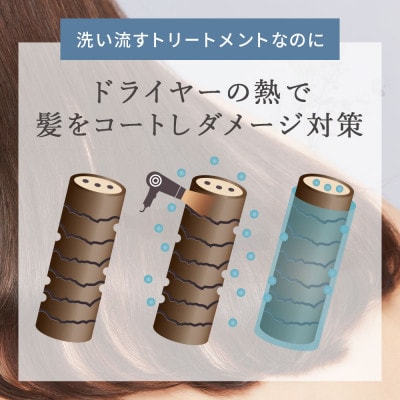 【ドライヤーの熱で毛先までダメージ補修】モイスチャートリートメント[LULUNA]ルルーナ