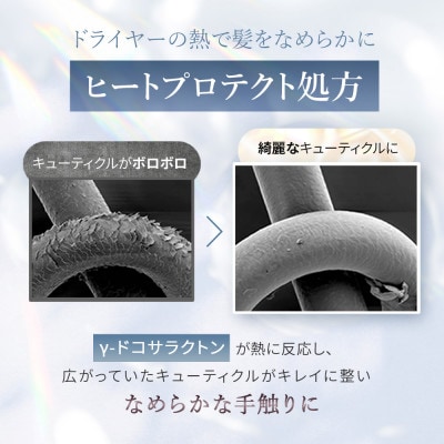 【ドライヤーの熱で毛先までダメージ補修】モイスチャートリートメント[LULUNA]ルルーナ