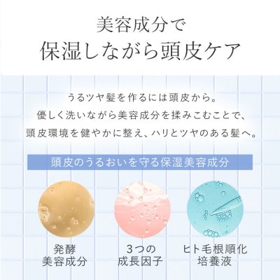 <12本セット>モイスチャーシャンプー(1年分)[LULUNA]ルルーナ