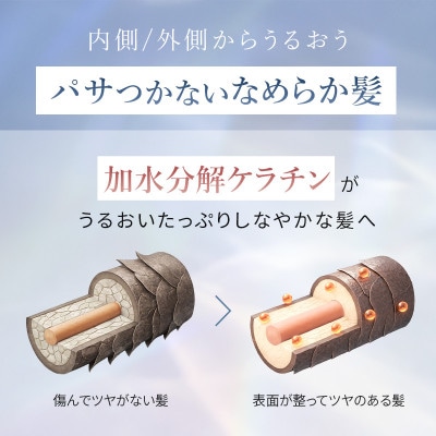 【12本セット】モイスチャートリートメント(1年分)[LULUNA]ルルーナ