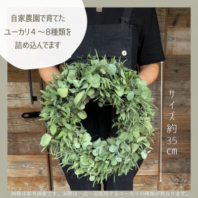 【ユーカリ農家直送】摘みたてユーカリリース　