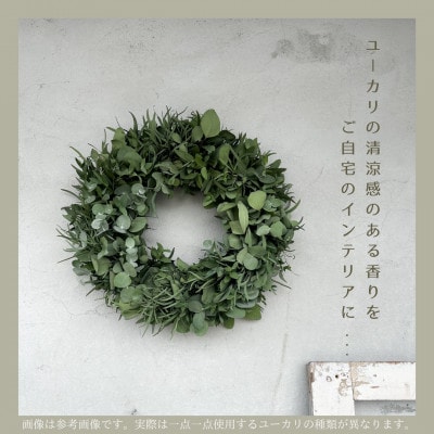 【ユーカリ農家直送】摘みたてユーカリリース　