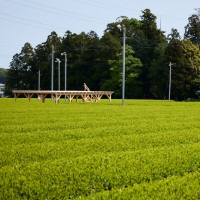 茶畑テラス茶の輪利用券【やまきゅう中島園プラン1名分】