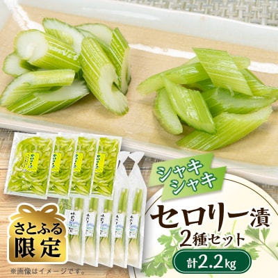 【さとふる限定】セロリー漬　計2200gセット