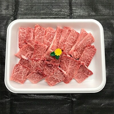 長崎和牛　焼き肉用(600g)