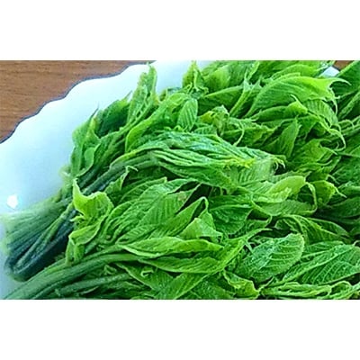 天然コシアブラ(生) 100g×3パック
