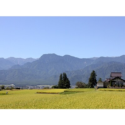 【俺の米】秋吉新介「農薬・肥料を一切使用しない天日干し(はぜ掛け)ササニシキ白米」10kg 30年産