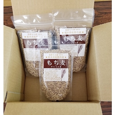 国産ダイシもち麦250g×5袋