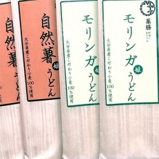 薬膳うどんシリーズ「自然薯&モリンガうどん」(各5袋入)