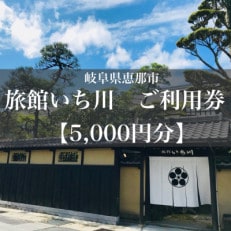 岐阜県恵那市 旅館いち川ご利用券【5,000円分】