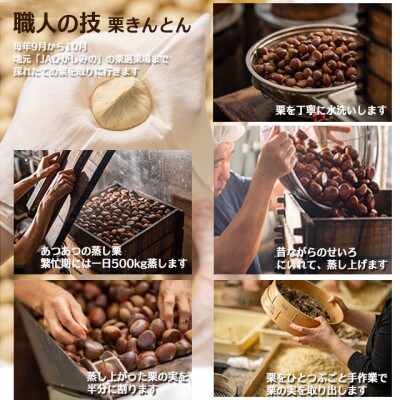 栗きんとん入り焼き菓子「恵那っ子」15入