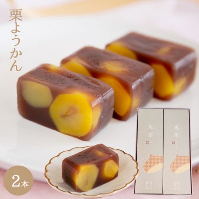 栗がごろごろ　恵那の栗ようかん　2本