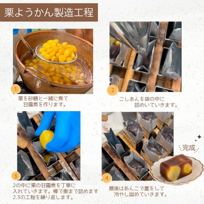 栗ようかん 3本入 岐阜産