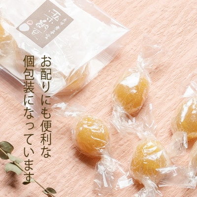 栗がまるごと一粒スイーツ栗納豆 5粒入 2箱