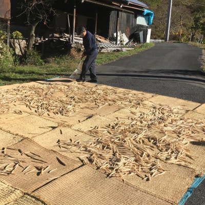 山ごぼう味噌漬　300g