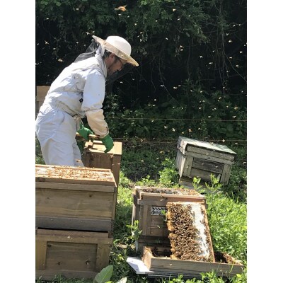 恵那蜂蜜3本セット(蓮華180g1本、百花1000g1本、栗180g1本)