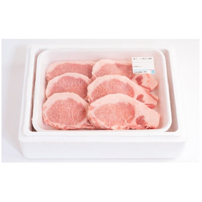 三浦豚 豚肉 ステーキ 900g とんかつ　ブランド豚