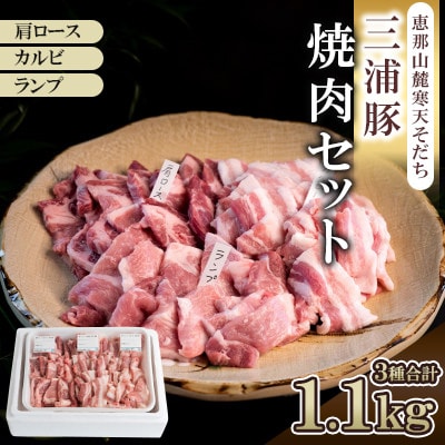 豪華三浦豚 1.1kg焼肉セット　肩ロース カルビ ランプ　 ブランド豚