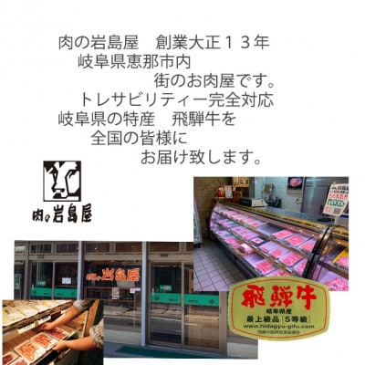 飛騨牛ロース1kg カルビ700g 三浦豚ロース900g豪華3点セット しゃぶしゃぶ・焼肉