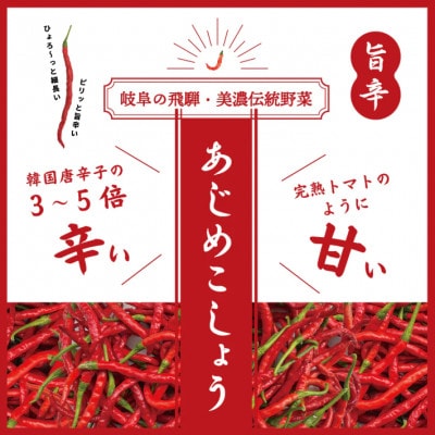LGASIA (ルガシア) オリジナルスパイスAJIME 15g×3本,100g×2本