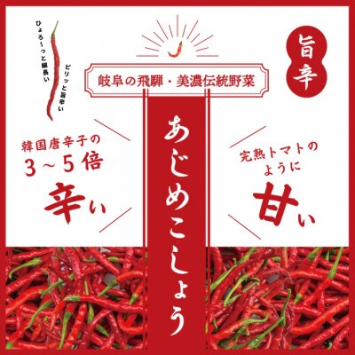 LGASIA (ルガシア) オリジナルスパイスAJIME 15g×5本,50g×2本