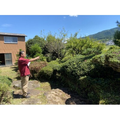空き家　お助け隊