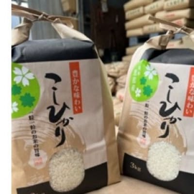 恵那こしひかり