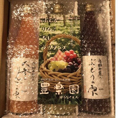 プレミアムジュース恵那山麓の果物の雫3本セット(りんご・ぶどう・人参とりんご)