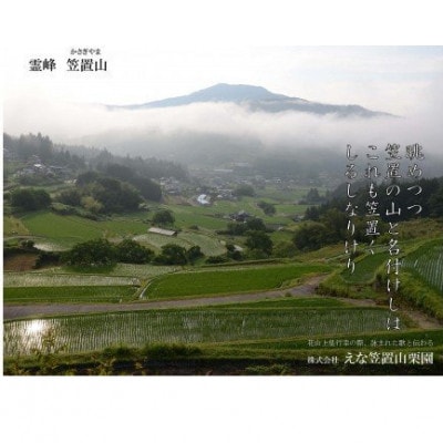冷凍むき栗　えな笠置山栗園産日本栗　250g×2パック