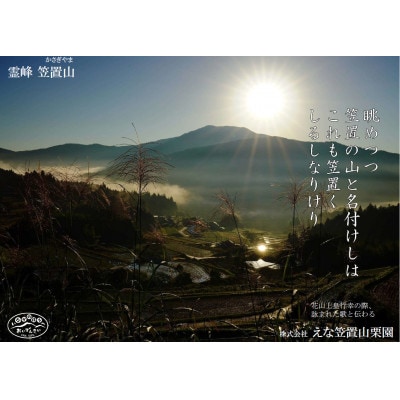 冷凍むき栗　えな笠置山栗園産日本栗カット　250g×2パック