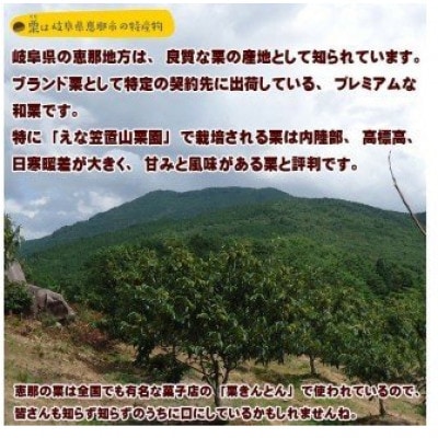おやすみ栗(マロン)　えな笠置山栗園産日本栗(2Lサイズ)