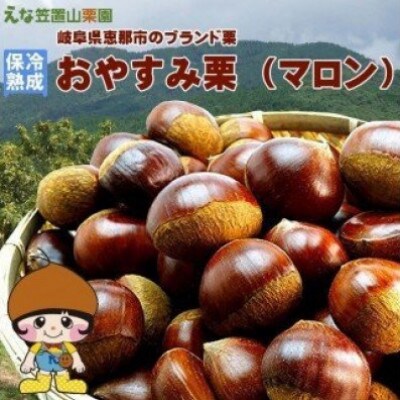 おやすみ栗(マロン) えな笠置山栗園産日本栗 (3Lサイズ以上)