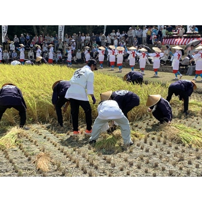 令和5年産　恵奈のあけぼの農林48号　精米5kg