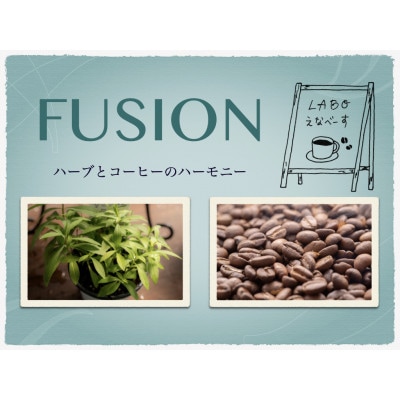 FUSION ハーブとコーヒーのハーモニー　6種類各1袋