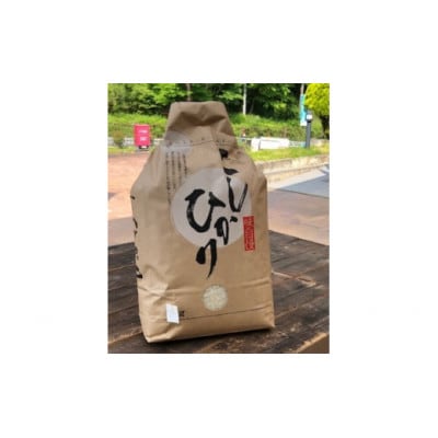 上矢作産　農家自慢のこしひかり(精米6kg)