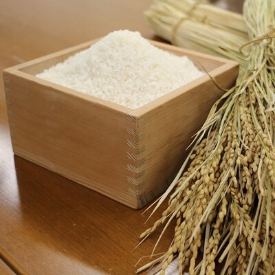 【平成30年産 福井県若狭町コシヒカリ20kg】