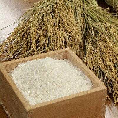 【平成30年産 福井県若狭町コシヒカリ20kg】