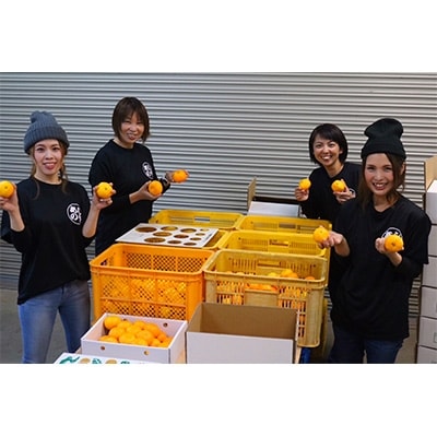 10月中旬より順次発送【まごころ手選別】和歌山産　有田みかん(極早生)　3kg　1箱(2S～L混合)