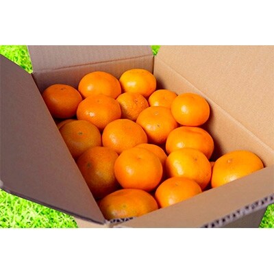 先行受付【まごころ手選別】和歌山県産　有田みかん(極早生)　3kg　2箱　(2S～Lサイズ混合)