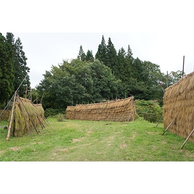 黒米・黒米野草茶3種・薬膳五穀米のセット