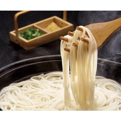 手延べうどん2種・あごだしスープセット20人前 F-31　