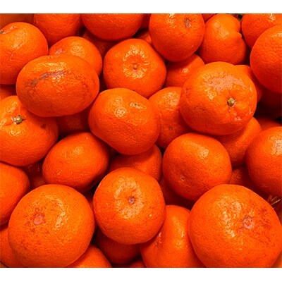 【ご家庭用訳アリ】紀州有田産濃厚完熟温州みかん 7.5kg