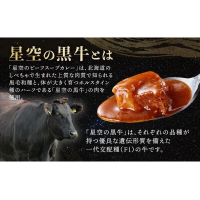 北海道 「星空の黒牛」ビーフスープカレー(300g)×5個