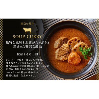 北海道 「星空の黒牛」ビーフスープカレー(300g)×5個