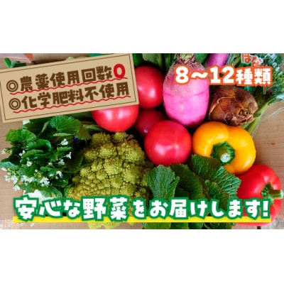 安心野菜ボックス D116