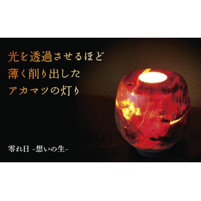 零れ日-想いの生-  A004