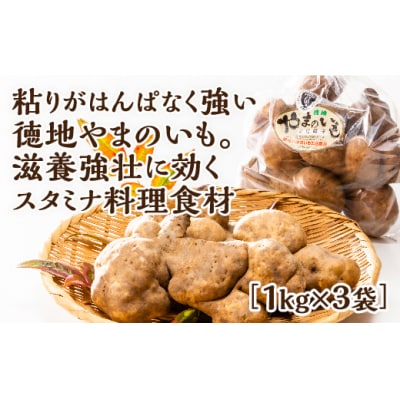 徳地やまのいも1kg袋(ご家庭用)×3袋 D121