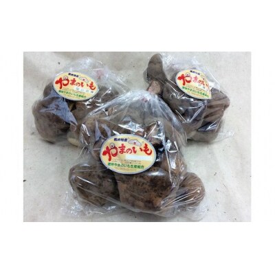 徳地やまのいも800g袋(ご家庭用)×3袋 D535